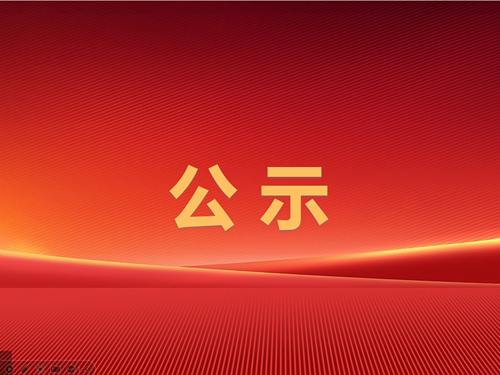 辰龍集團(tuán)東大煤礦2024年三季度較大及以上安全風(fēng)險管控清單